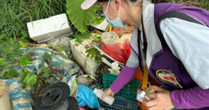 台南登革熱疫情嚴重　全台本土病例已破4000例