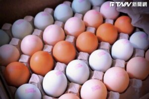 百物齊漲！「2大因素」竟讓物價年增率漲2.52%創半年新高