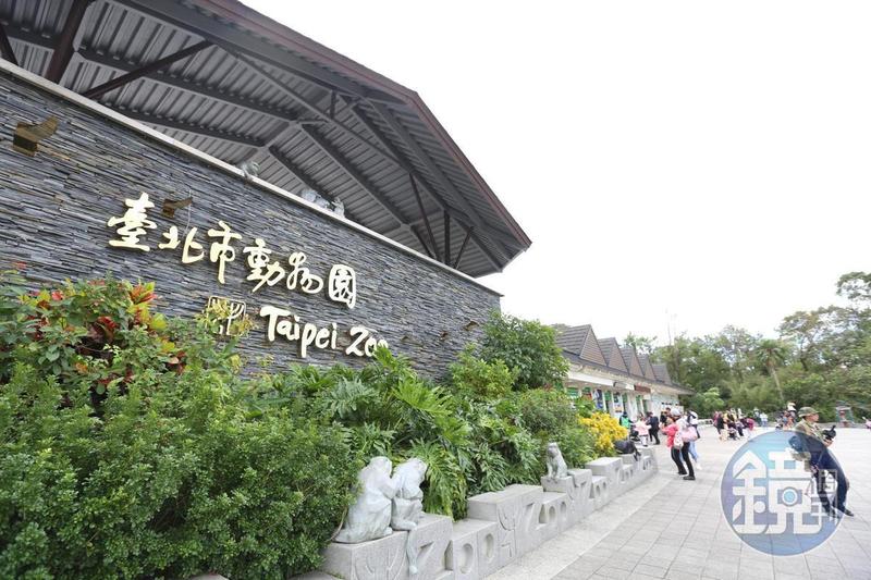 北市動物園門票確定漲價！　「全票60元→100元」上路時間曝光