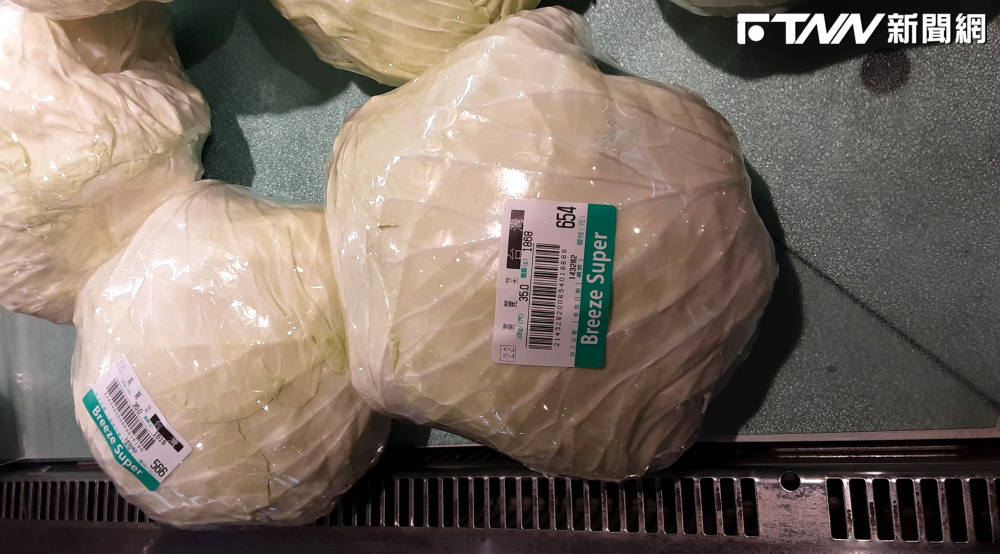 比肉還貴！高麗菜「一顆飆到654元」　網嚇爆：要用冥紙買嗎？