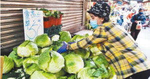 高麗菜1顆要價500元！　網曝：要去「這」趁機大撈一筆